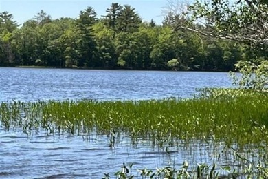 Now is your chance to own an ISLAND! This unique property was - photo 25