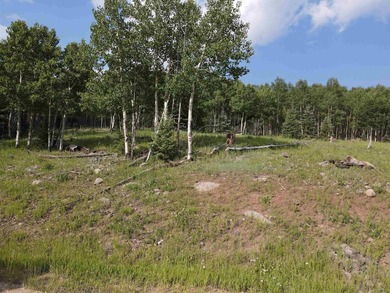 Monte Verde Lake Acreage For Sale in Angel Fire New Mexico
