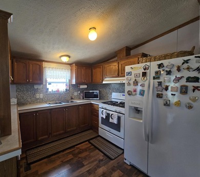 Cute and well-maintained 2-bedroom, 2-bath home located in Huron - photo 12