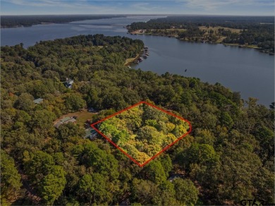 (private lake, pond, creek) Lot For Sale in Pittsburg Texas
