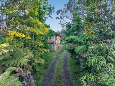 Set among the ohia forest in one of Volcano's most sought-after - photo 22