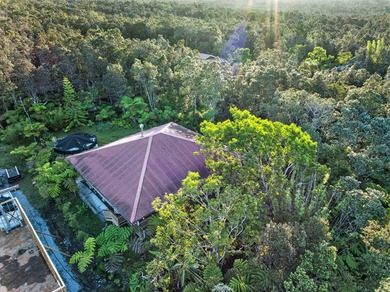Set among the ohia forest in one of Volcano's most sought-after - photo 25