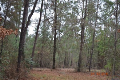 Lake Lot For Sale in Gilmer, Texas