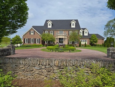 Gunite pool is Salt water, Crystal chandeliers in living room - photo 1