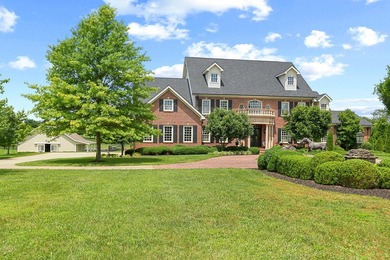 Gunite pool is Salt water, Crystal chandeliers in living room - photo 4