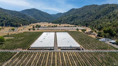 (private lake, pond, coastal) Home For Sale in Upper Lake California