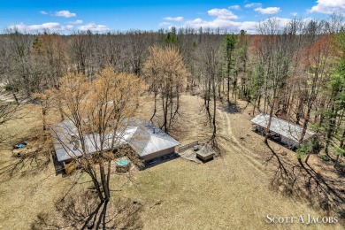 (private lake, pond, creek) Home For Sale in Sears Michigan
