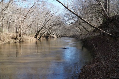 (private lake, pond, creek) Acreage For Sale in Hodges Alabama