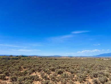 Exceptional opportunity to own 3 acres in the highly desirable - photo 5