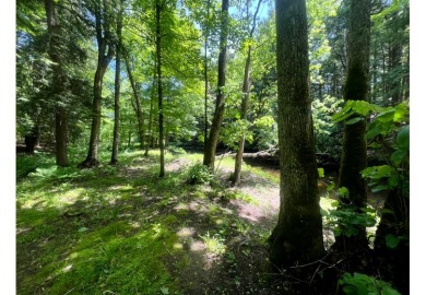 Camp Fish Creek - photo 15