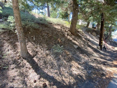 Residential mountain lot located in the picturesque community of - photo 10