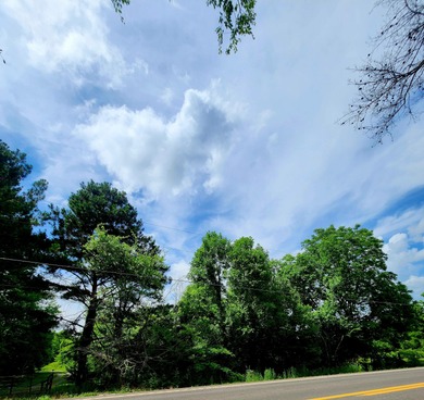 (private lake, pond, creek) Lot For Sale in Decatur Tennessee