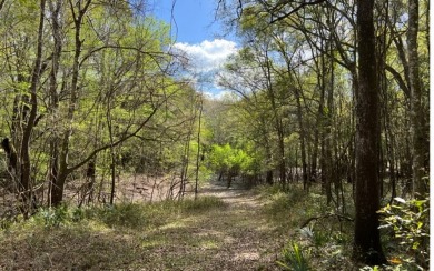 Suwannee River - Lafayette County Lot For Sale in Live Oak Florida