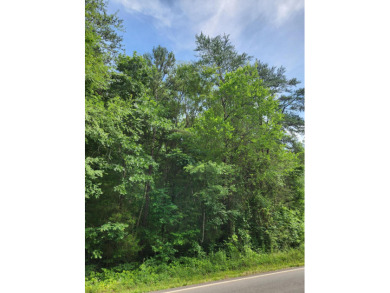 Lake Acreage For Sale in Decatur, Tennessee