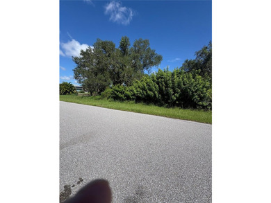 BEAUTIFUL SUNNY 10,000 SQ FT LOT PRICED TO SELL IN GULF COVE!!! - photo 3