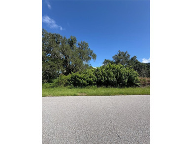 BEAUTIFUL SUNNY 10,000 SQ FT LOT PRICED TO SELL IN GULF COVE!!! - photo 5