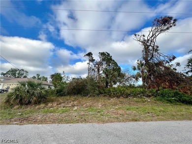 Very nice northern rear exposure lot in neighborhood of new - photo 1