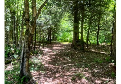 Camp Fish Creek - photo 16