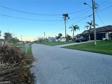 GOLF COURSE RIGHT BEHIND LOT. Very nice lot in deeded - photo 4