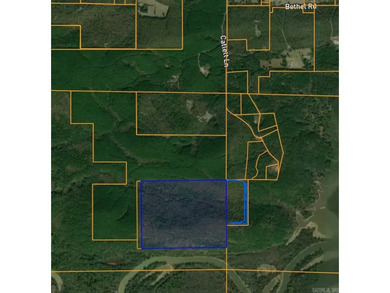 Blue Mountain Lake  Acreage For Sale in Magazine Arkansas