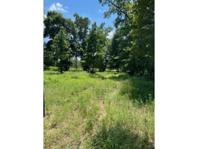 Lake Palestine Lot For Sale in Outside Area (Outside Ca) Texas