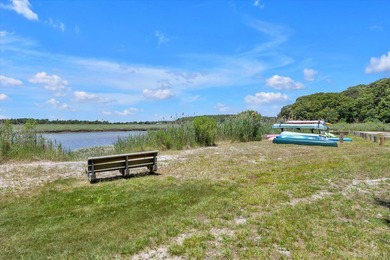 Bright and Expansive in Stony Brook Shores! This updated - photo 32