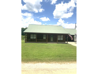 WATERFRONT RARE FIND & UNDER $200k  - Lake Home For Sale in Pachuta, Mississippi