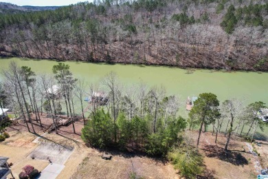 Lake Lot Off Market in Arley, Alabama