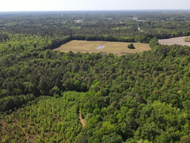 Discover this 5.28-acre tract off Cottage Lane in Berkeley - photo 4