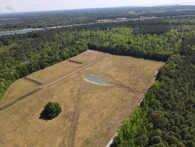 Discover this 5.28-acre tract off Cottage Lane in Berkeley - photo 5
