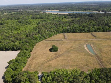 Discover this 5.28-acre tract off Cottage Lane in Berkeley - photo 7