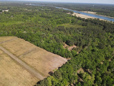 Discover this 5.28-acre tract off Cottage Lane in Berkeley - photo 9