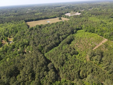 Discover this 5.28-acre tract off Cottage Lane in Berkeley - photo 10
