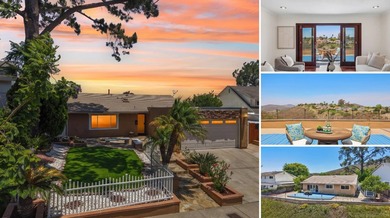AMAZING CANYON VIEWS | QUIET CUL-DE-SAC | SINGLE-STORY HOME | 9 - photo 1