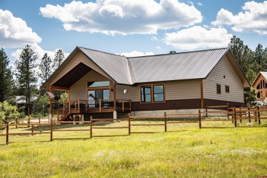 Hatcher Reservoir Home For Sale in Pagosa Springs Colorado