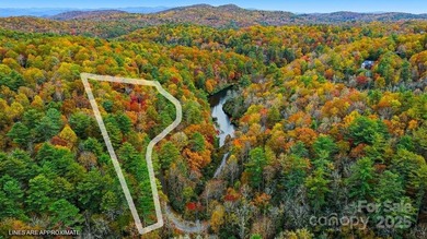 Indian Lake Lot For Sale in Lake Toxaway North Carolina