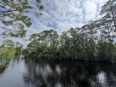 Lake Lot For Sale in Lake Placid, Florida