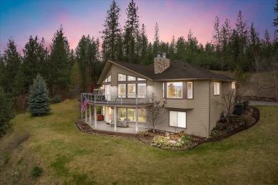  Home For Sale in Nine Mile Falls Washington