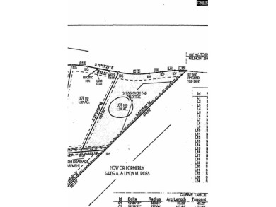 PLEASE VIEW VIRTUAL TOUR LINK! Build your dream home on this - photo 2