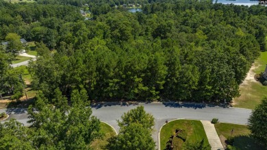 PLEASE VIEW VIRTUAL TOUR LINK! Build your dream home on this - photo 3