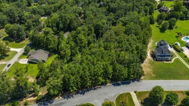 PLEASE VIEW VIRTUAL TOUR LINK! Build your dream home on this - photo 5
