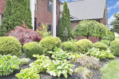 1.35-acre estate,framed by a dense, private wall of mature trees - photo 6