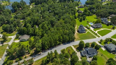 PLEASE VIEW VIRTUAL TOUR LINK! Build your dream home on this - photo 6