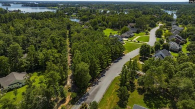 PLEASE VIEW VIRTUAL TOUR LINK! Build your dream home on this - photo 7
