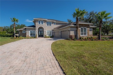 Lake Home For Sale in Land O Lakes, Florida