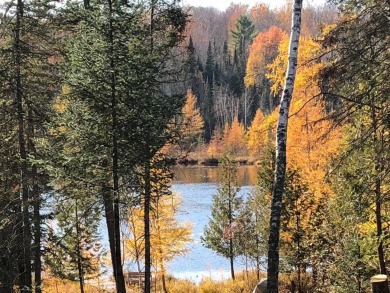Lake Acreage For Sale in Lakewood, Wisconsin