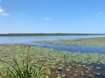 (private lake) Acreage For Sale in Lachine Michigan