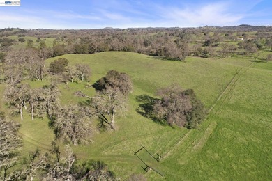 Rare opportunity to own 46.22 acres of stunning Sierra Foothills - photo 15