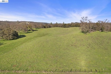 Rare opportunity to own 46.22 acres of stunning Sierra Foothills - photo 16