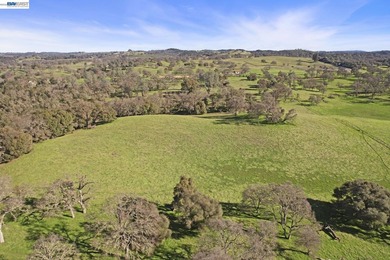 Rare opportunity to own 46.22 acres of stunning Sierra Foothills - photo 20